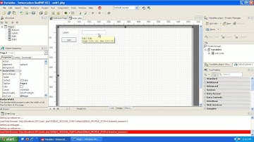 Learning to program php tutorial 2 - Variables - GUI - Rad Studio XE2