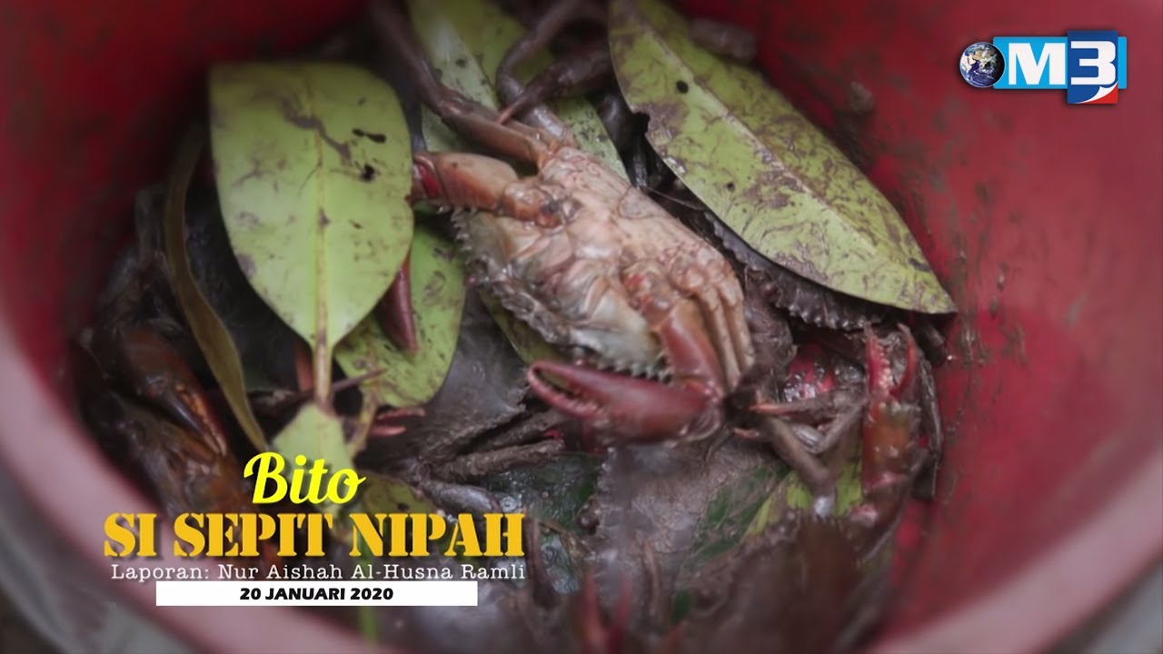 Istimewa Majalah 3 (2021) | Sat, May 15