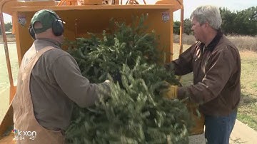 Where you can recycle your Christmas tree in Austin