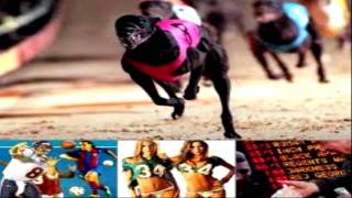 sport betting (betting software|winning with sports bet} screenshot 4