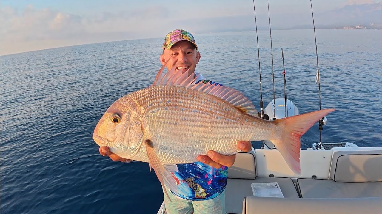 Sarı Turna Avı Nasıl Yapılır/Antenli Mercan Avladım Dev Balık Kaçırdım!