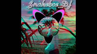 Snakeboe dj  Brenda  Fassie  Thola  Amadlozi red hillz Beatz
