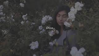 Mecca (ft. Dios) - Roller Coaster (Official Music Video)