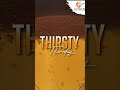 Thirsty Thursday’s at Cuisine Colombo!