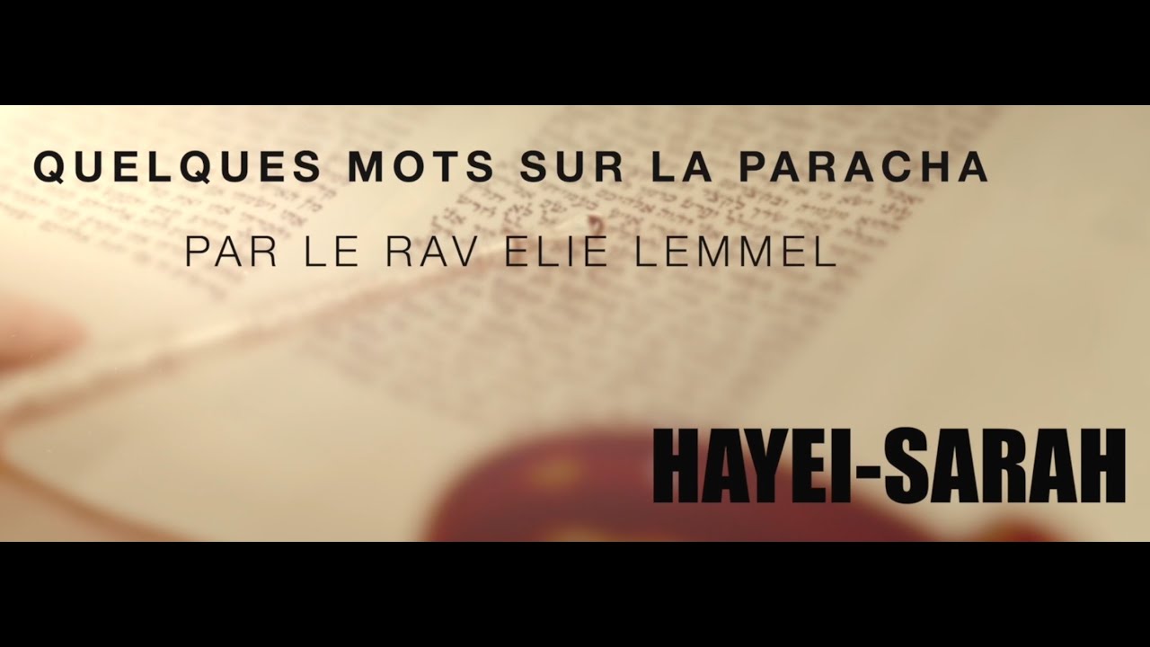 Avons-nous conscience de ce que les autres nous apportent ? Rav Élie Lemmel - Parasha Hayei Sarah