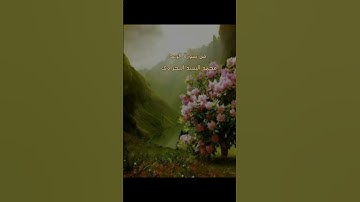 من سورة الرعد | الذين ءامنوا وتطمئن قلوبهم بذكر الله ألا بذكر الله تطمئن القلوب💖| Surah Al-Raad يارب