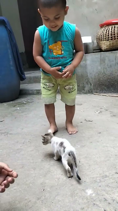 tai tai tai #tiktok #shortvideo #viral