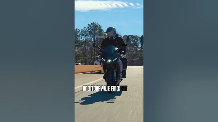 2025 Yamaha R3 | 40-80 Pull