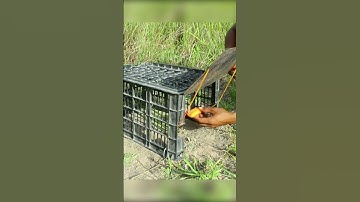 Build a SUPER Easy Rabbit Trap Using a Plastic Basket