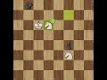Can Two Knights Force a Win? ♘🔥 #chess #chessgame #checkmate