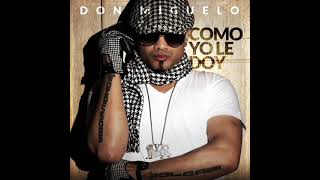Don Miguelo  Exitos Mix