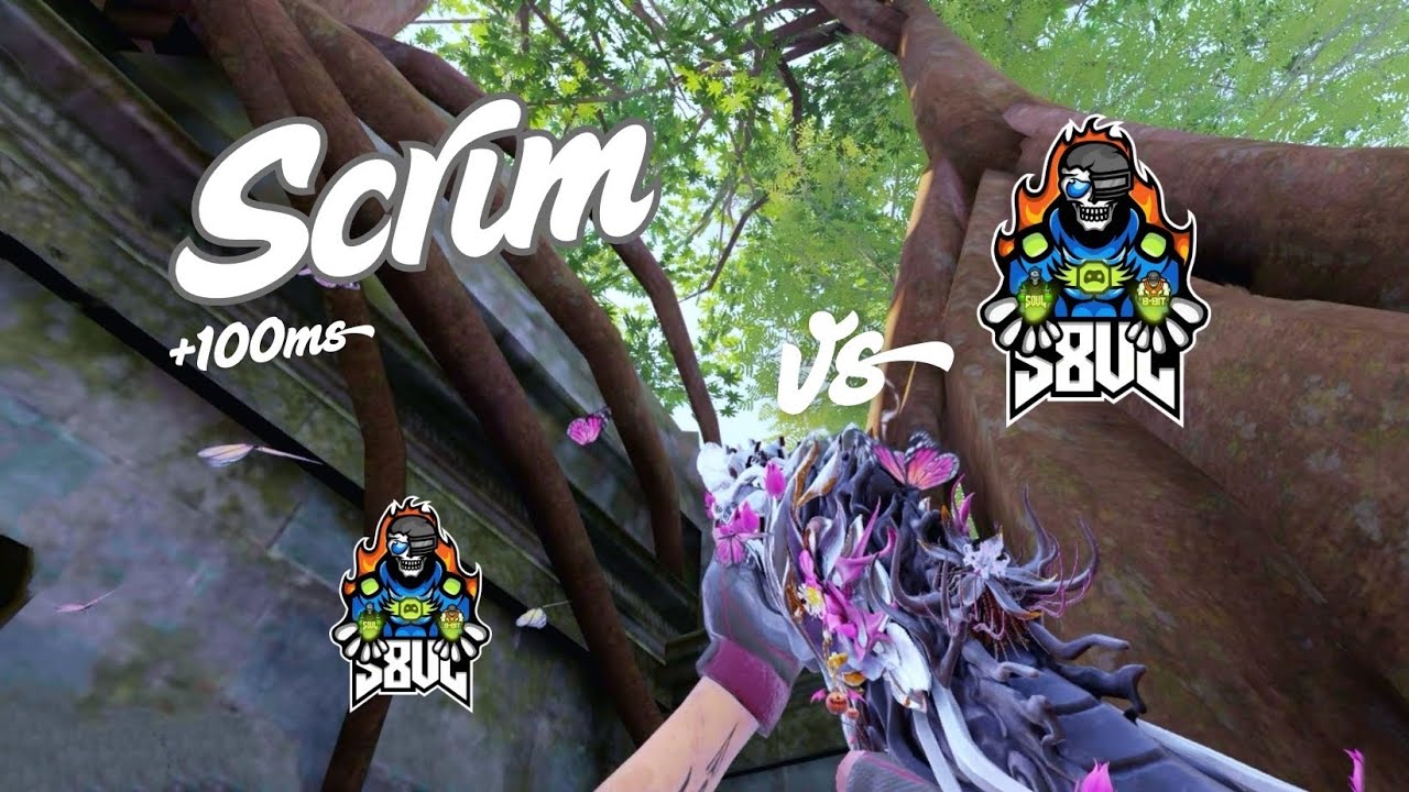 PRO SCRIM VS S8UL - TOP 2 INDIA 