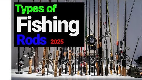 7 Types Of Fishing Rods Explained | Fishing Rod Types