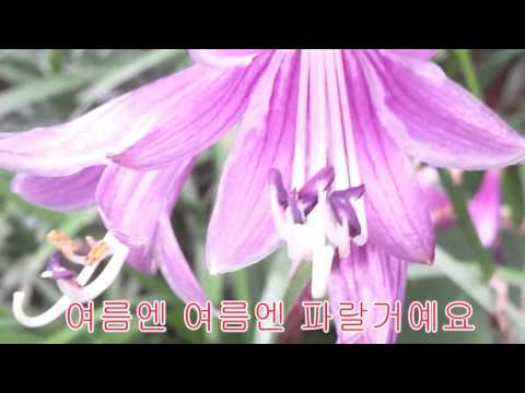 파란 마음 하얀 마음 동요 노래방