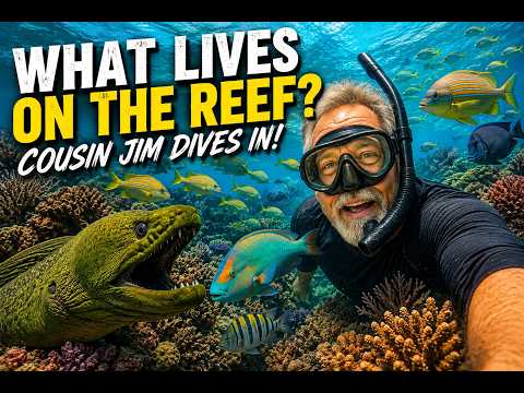 What Lives on the Reef? Cousin Jim Dives In!