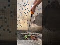Heavy Duty Air Hammer Chisel Tool with 450mm Flat Chisel for Concrete & Tile Removal