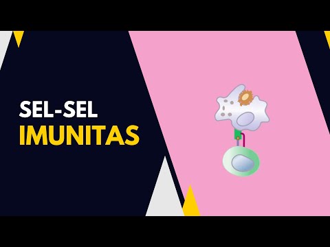 SISTEM IMUN : SEL B, SEL T, MAKROFAG DAN NATURAL KILLER CELL