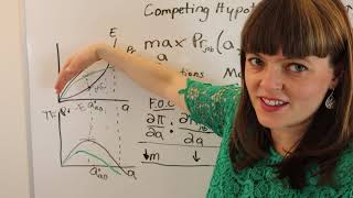 Celebrity Comparative Statics on Job Applications Model Net Worth