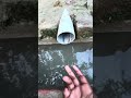 go4 speaker pvc pipe water 💧 JBL