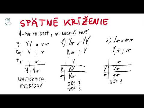 Video: Vyberte Kríženie Strednej Veľkosti