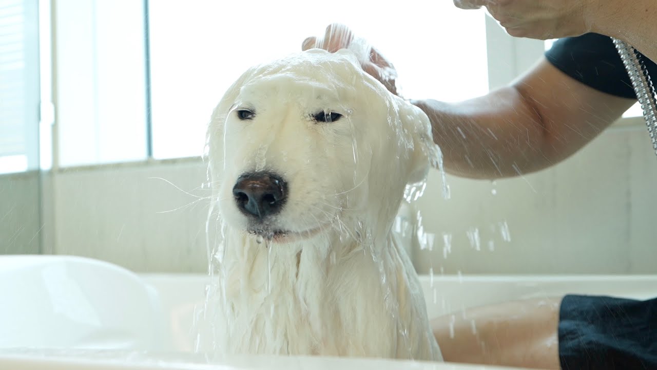 Дождливый день