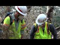 Engineers assess Detroit and Big Cliff dams after Beachie Creek Fire