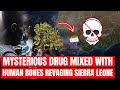 Kush   drug mixed with human bones ravaging sierra leone