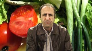 Why Bad Foods Taste Good and Good Foods Taste Bad, Nutrition Tips