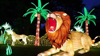 Experience Boston Lights: A Lantern Experience! Now Open!