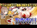 ムメイの飼い犬、ヴァルコネコラボのマリン船長に反応して荒ぶる【ホロライブEN切り抜き/宝鐘マリン/七詩ムメイ/オーロ・クロニー/日本語翻訳】