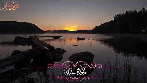 سورة الملك كاملة القارئ محمد زهير