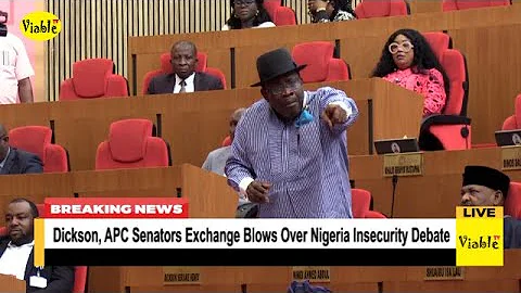 DRAMA!!! Dickson, APC Senators Exchange Blows Over Insecurity Debate