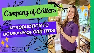 An Introduction to Company of Critters