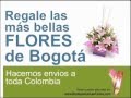 FLORES BOGOTA