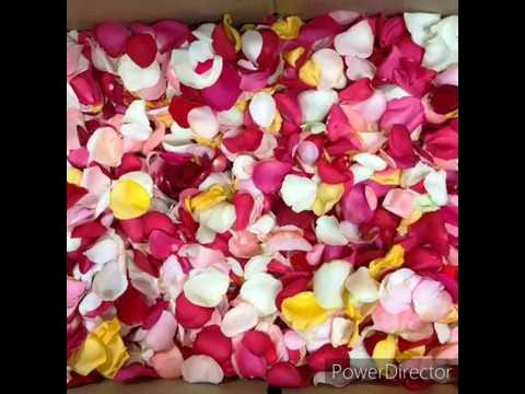 Como hacer agua de rosas con petalos