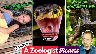 Zoologist Reacts to Viral Snake Myths – Debunking TikTok’s Worst!