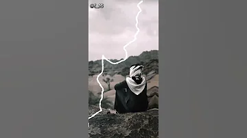 مفيش عصفور بعدي نسور محمد البصيلي جديد البصيلي 