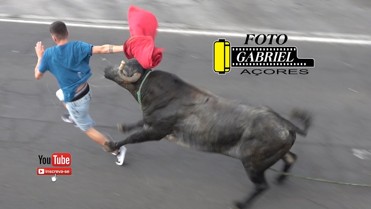 Tourada Estrada 25 Abril 06- 08 -2025 Ganadeiro JAF Festas da Praia