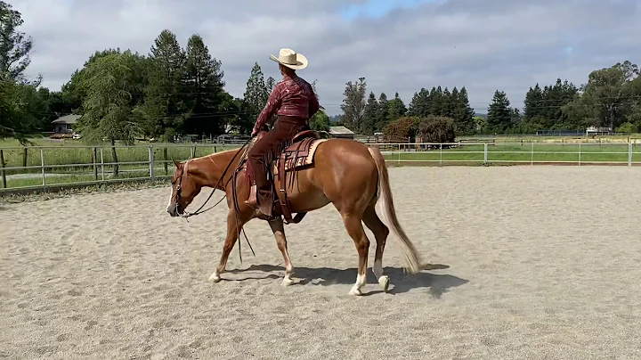 Ruf Ya Up - Melissa Zanetti - Ranch Riding