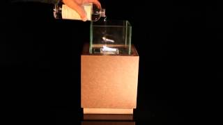 Tenderflame Demonstration