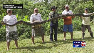 Record Python Captured - Channel 7
