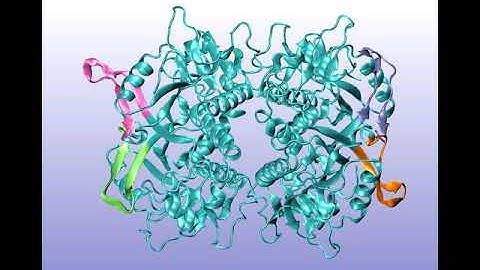 Flexible loop opening in PfHGXPRTase tetramer