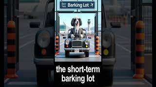 Dad Jokes from a Dog Dad (4) #dadjokes #dogjokes #dogsoftiktok #dogsofyoutube #shorts