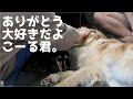 悲しいご報告をしなくてはなりません