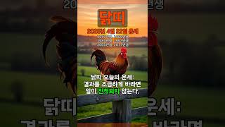 [2025년 4월 22일 닭띠 오늘의운세] 결과를 조급하게 바라면 일이 진척되지 않는다. #닭띠 #운세 #오…