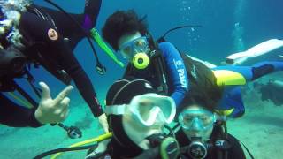 綠島打工換宿1060210