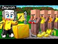 I VILLAGER ESAUDISCONO i MIEI DESIDERI in Minecraft!