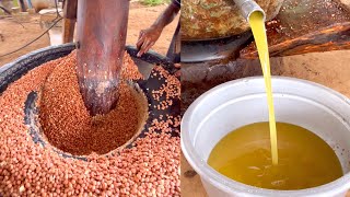 Unlock the Secret of India's Ancient BullPowered Groundnut Oil Extraction!