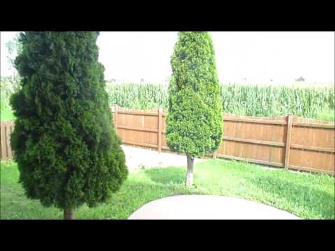 59 Tahoe Ln, Romeoville, IL home video tour