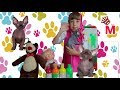 learn colors with kittens and cartoon characters Masha and the Bear Английский детям Изучаем цвета